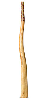 Heartland Didgeridoo (HD504)
